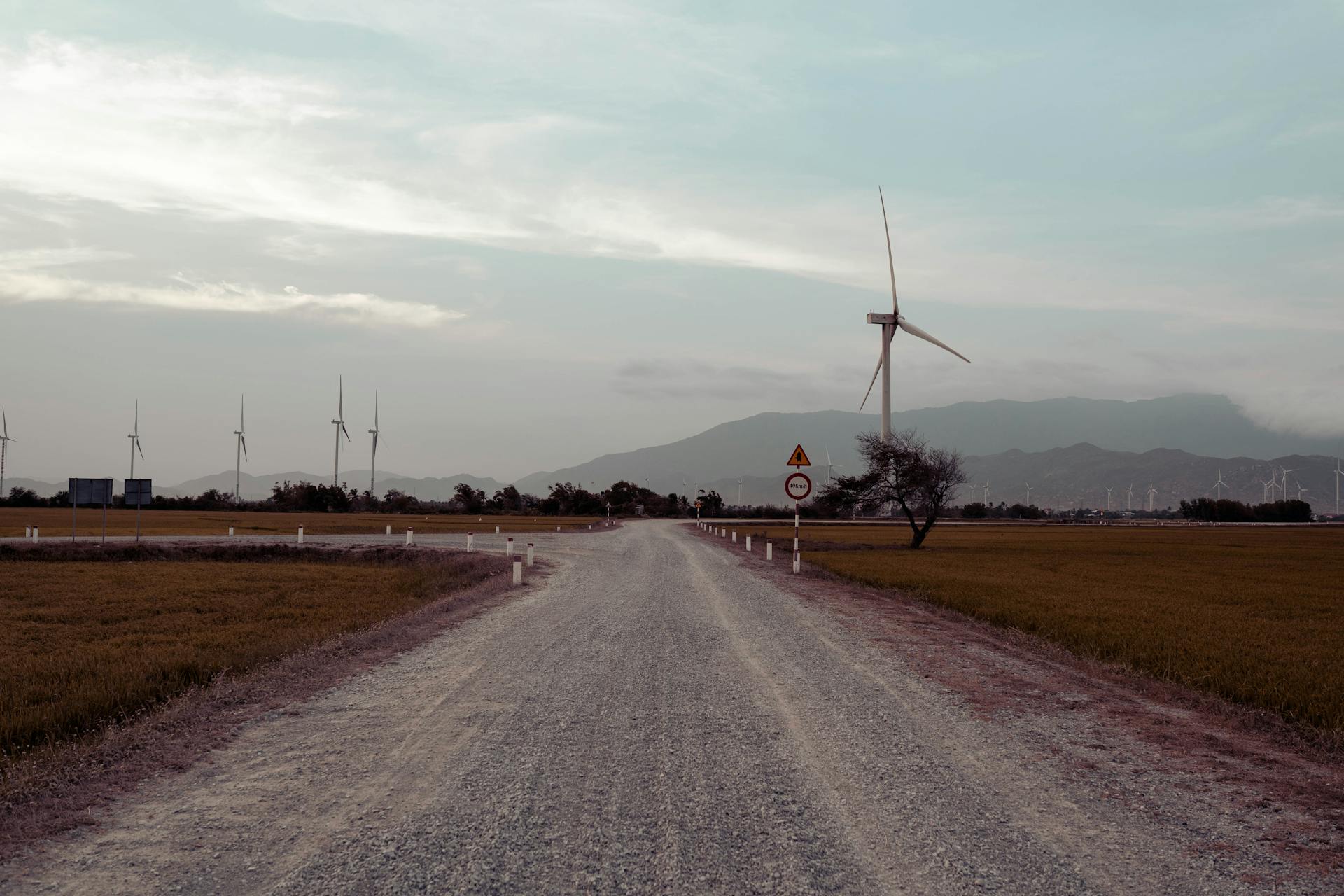 Peaceful rural landscape with wind turbines near a dirt road.