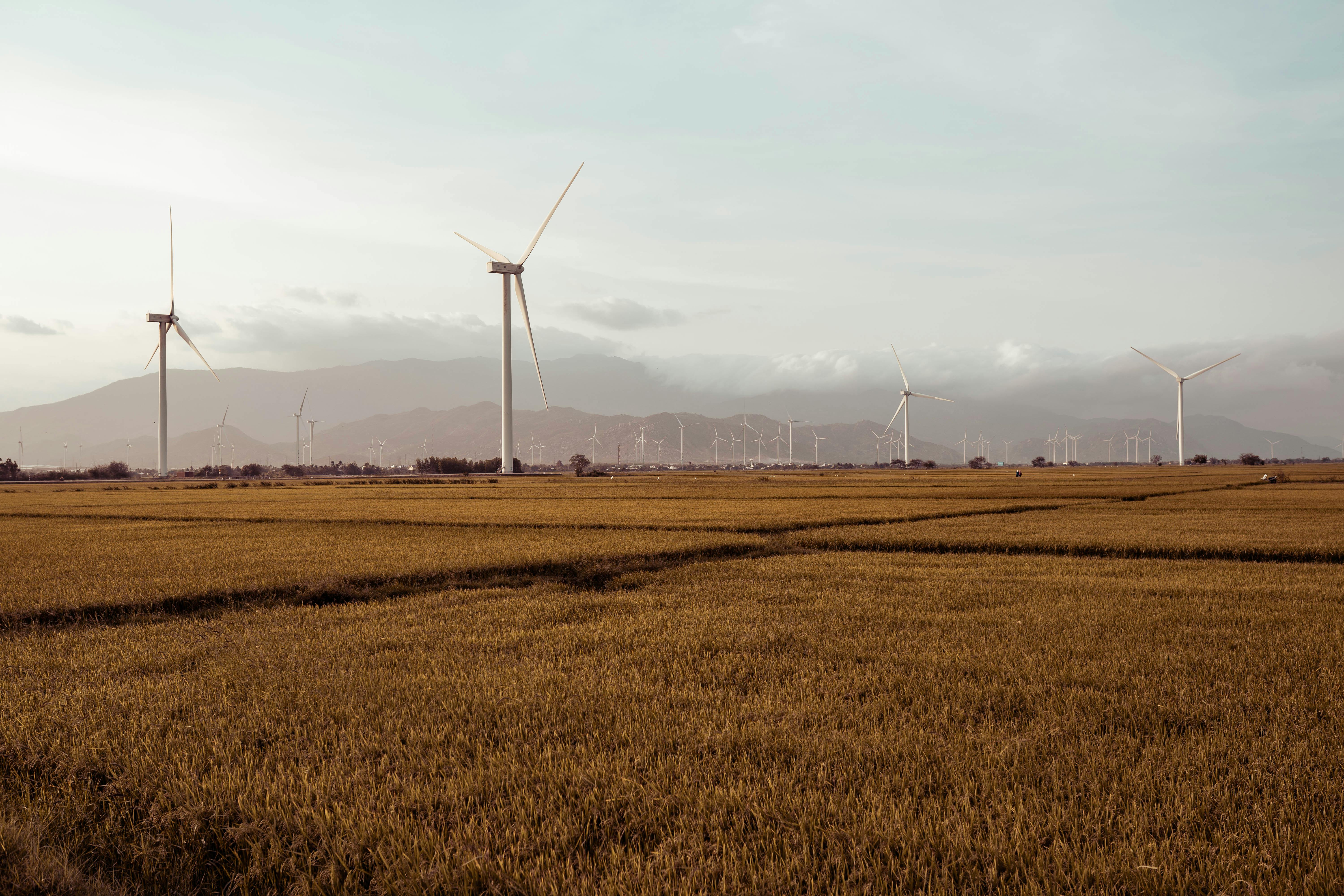 免费 乡村景观, 乾淨能源, 再生能源 的 免费素材图片 素材图片