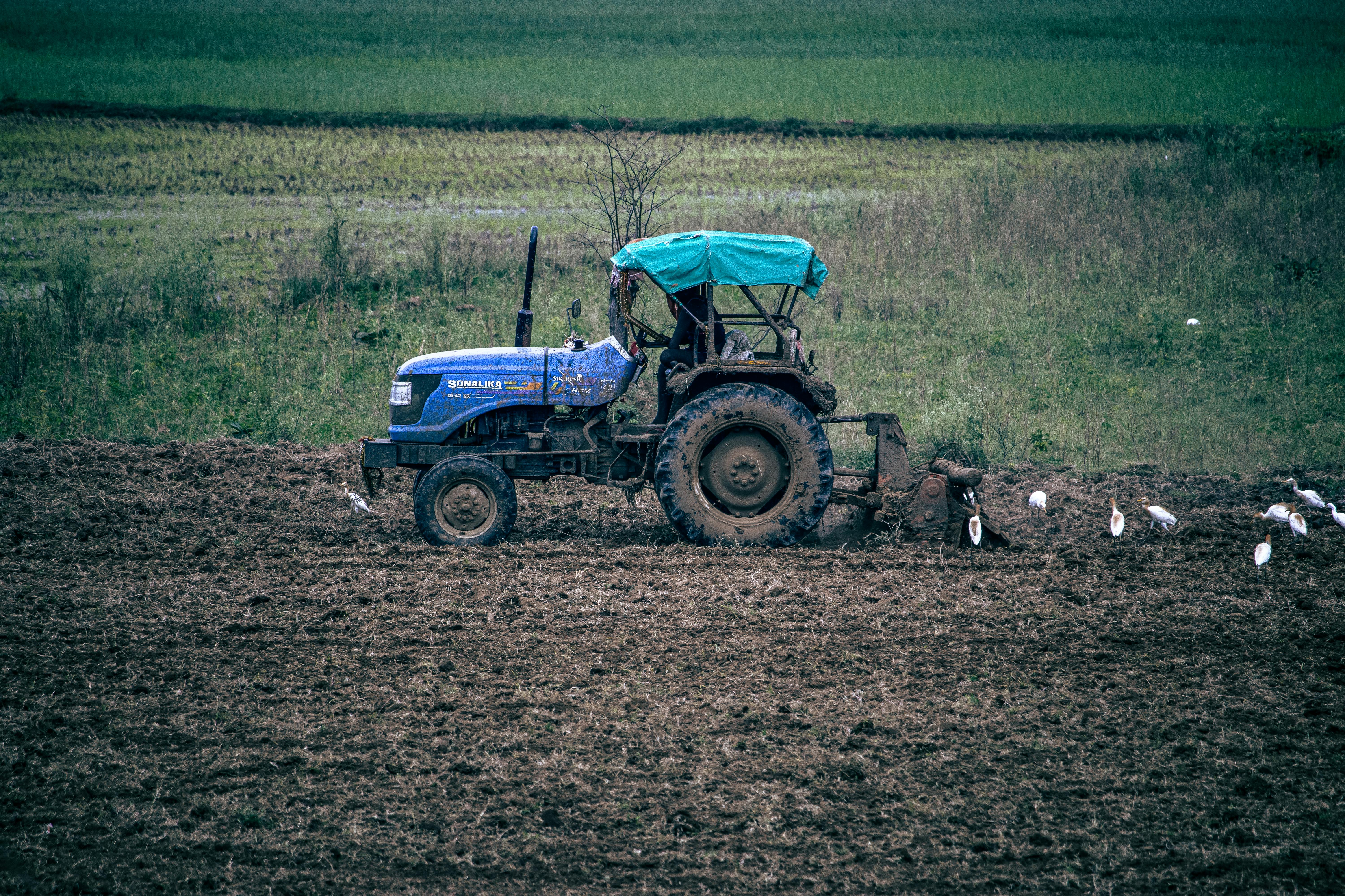 A blue tractor plowing a field in rural India with birds flocking around.