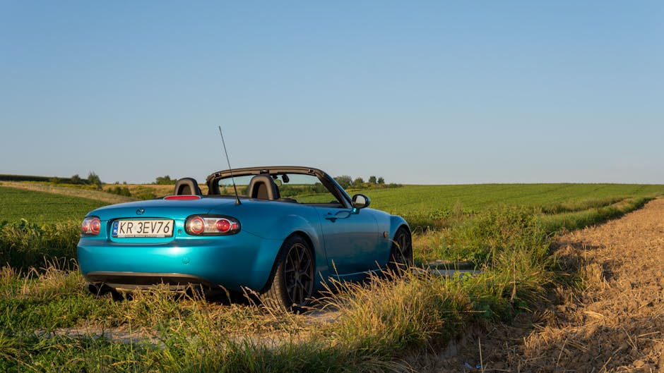 European Road Trip - international driving license eu