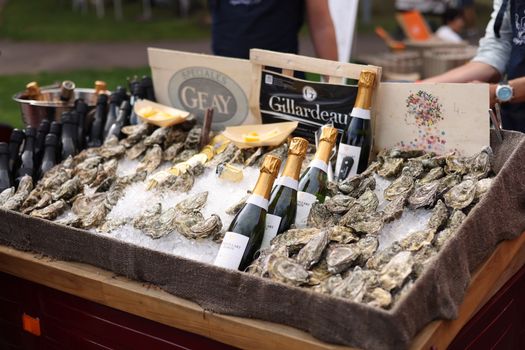 Oysters — Belon