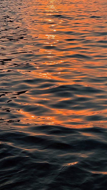 Fotos de stock gratuitas de agua, líquido, luz del sol