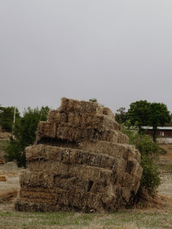 Fireclay Haystack A Haystack on a Field · Free Stock Photo