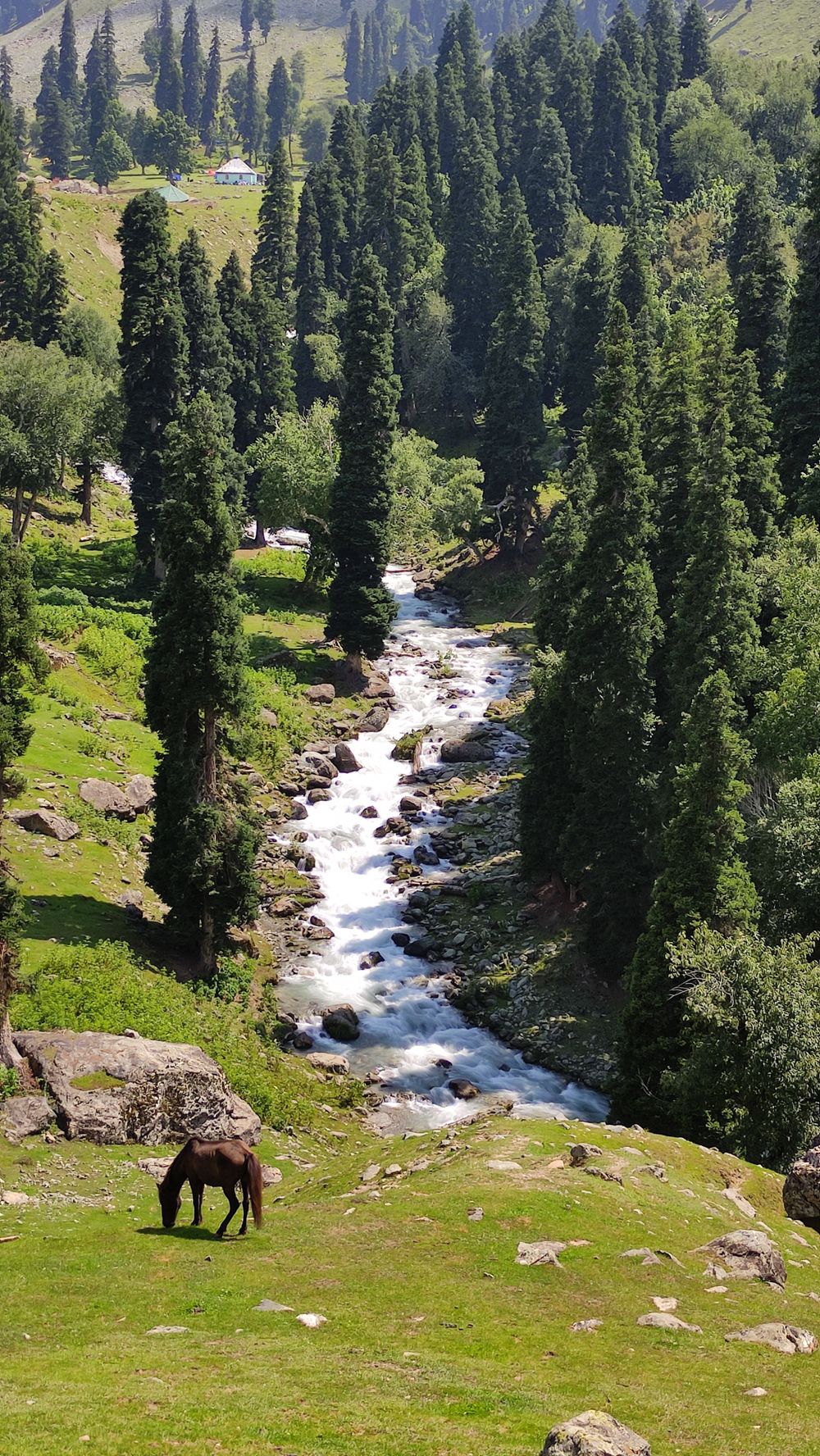 Shaliganga River