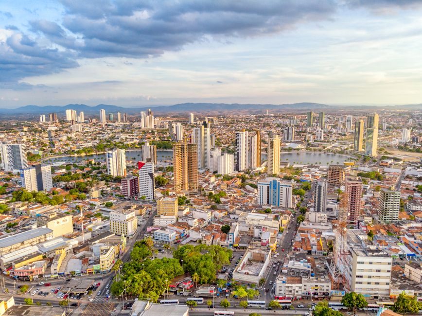 Dedetizadora em Chapecó: Como Escolher a Mais Confiável