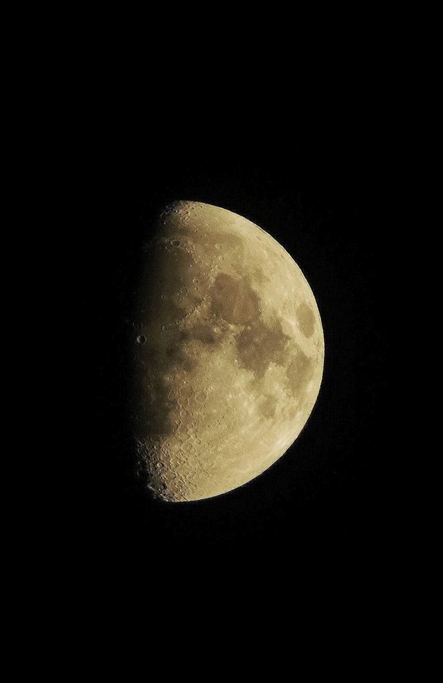 A half Moon against a black sky with craters sharp along the shadow line