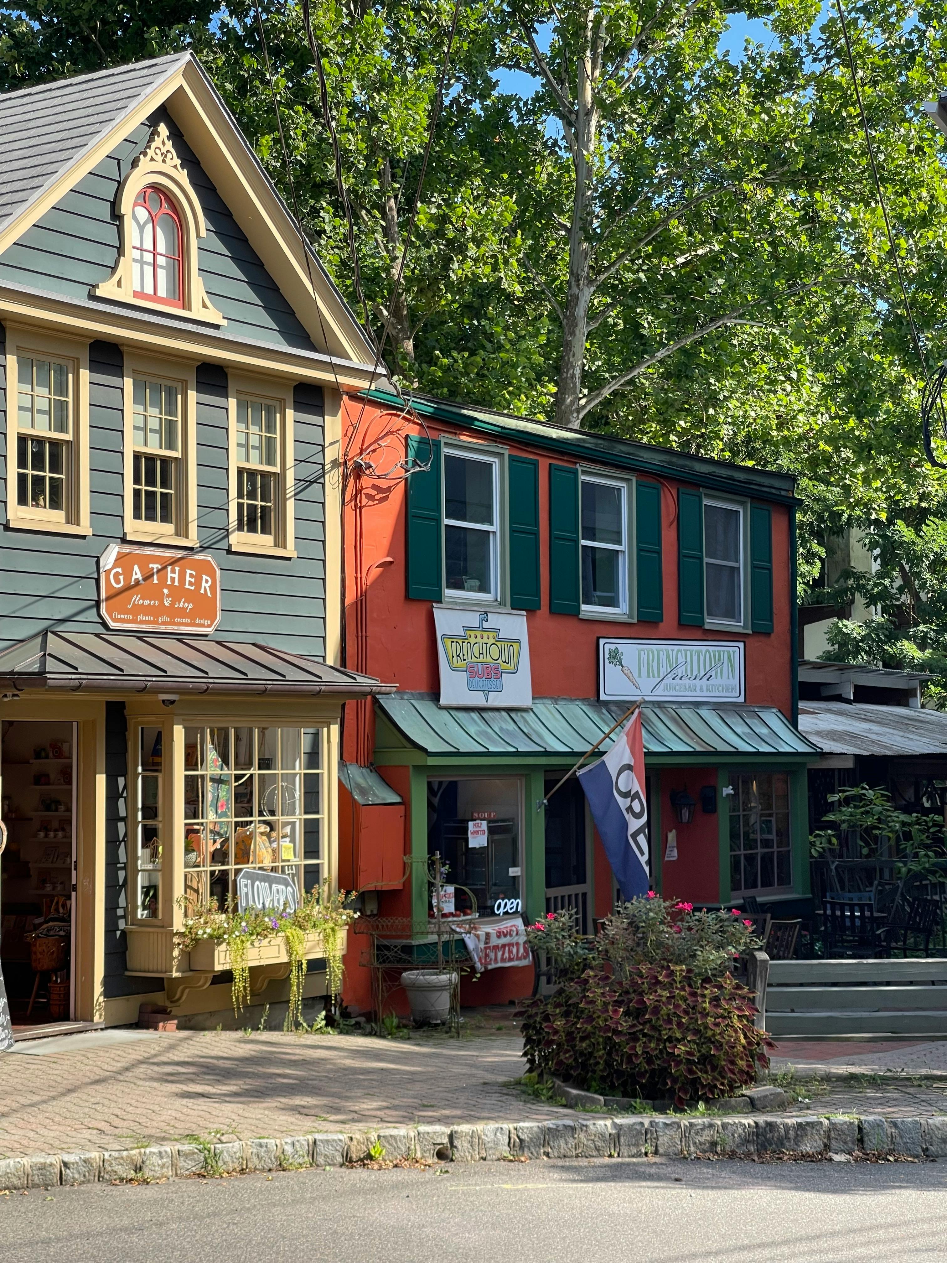 Charming small-town boutique shops along a tree-lined street in summer