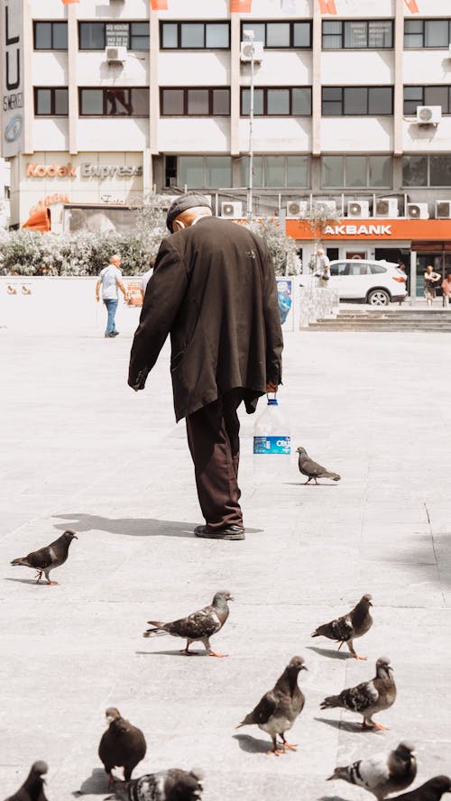 Δωρεάν στοκ φωτογραφιών με άνδρας, αστικός, γέρος