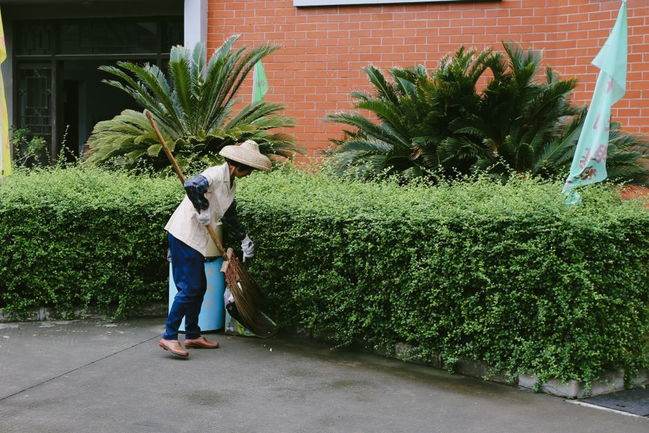 plant maintenance service near me austin