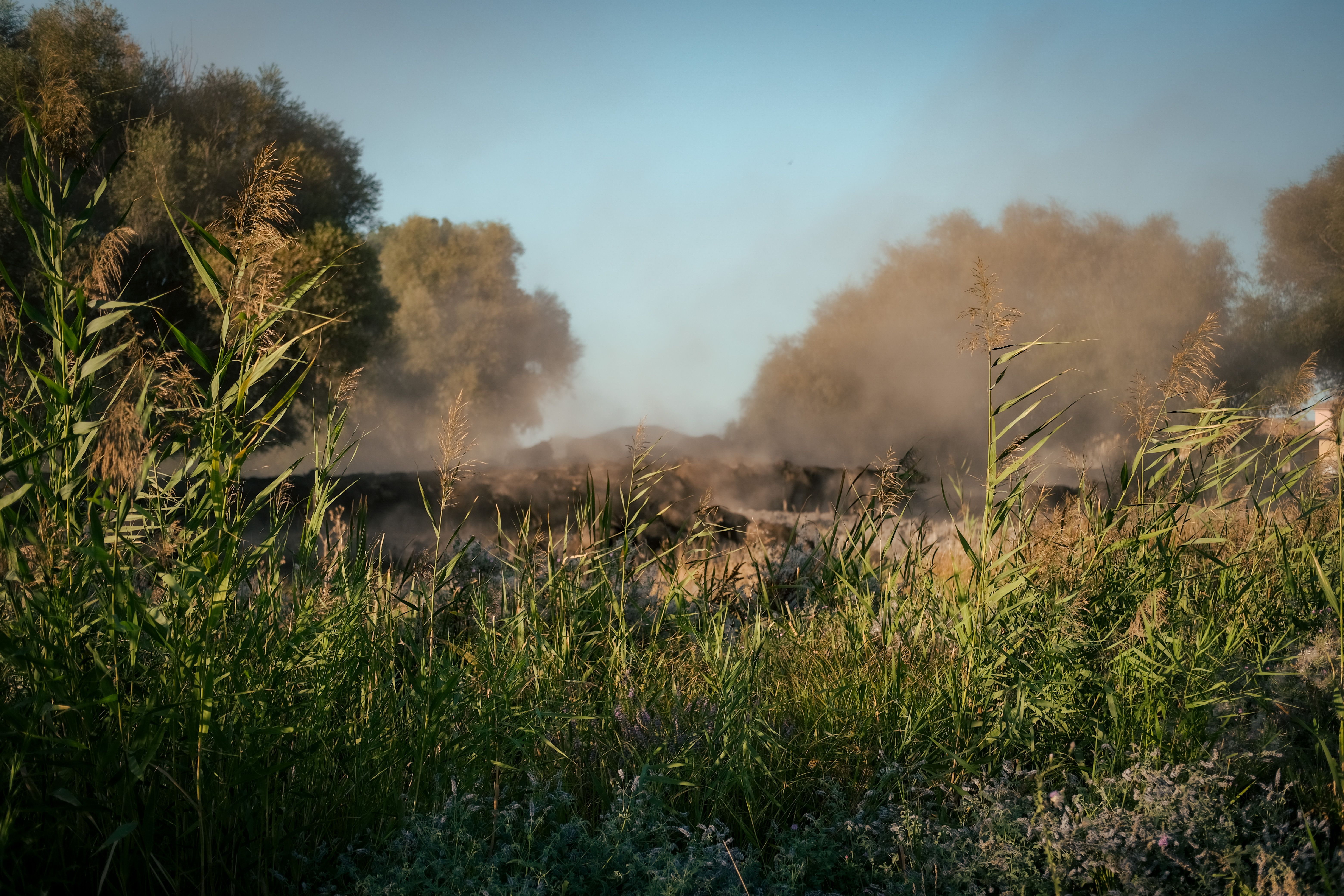 Incendii de vegetație în sud-vestul Franței: pompierii se pregătesc pentru un nou val de căldură de 40 de grade Celsius