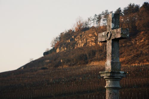 Free stock photo of burgundy, cold, cruz