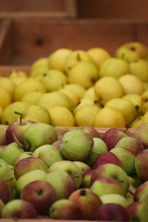 Sorted apples in a bin, photo by wr heustis on Pexels