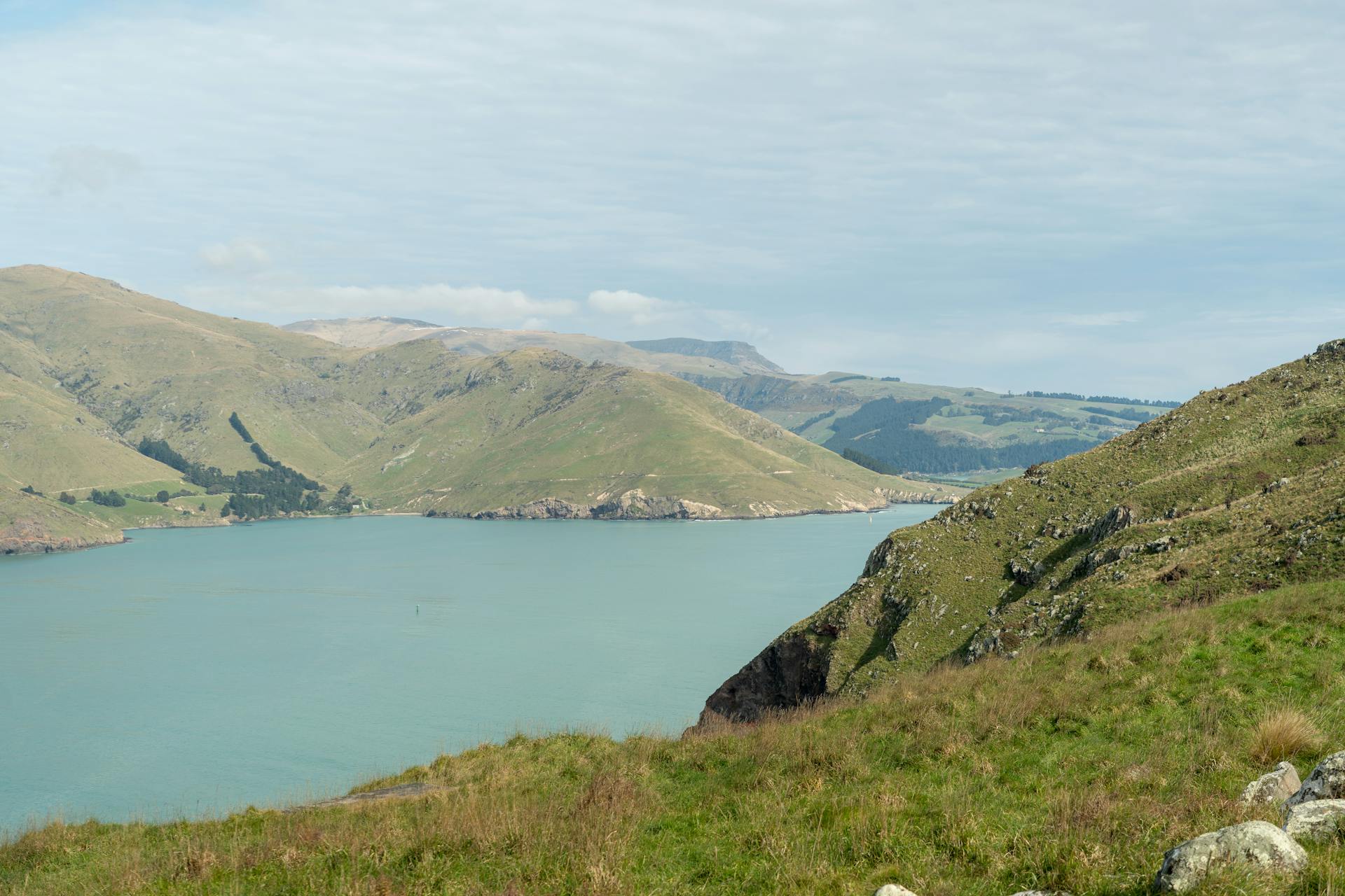 Breathtaking summer landscape of Lyttelton Harbour with surrounding hills, capturing the serene beauty of New Zealand's coast.
