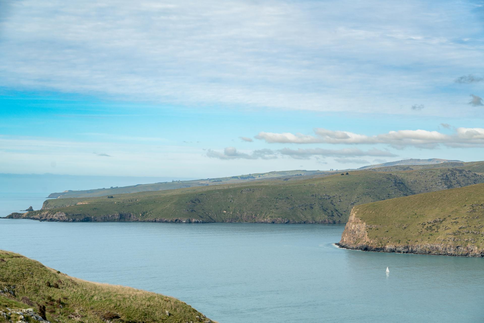 Wide view of the serene Lyttelton Harbor with grassy cliffs and calm ocean under a clear sky.