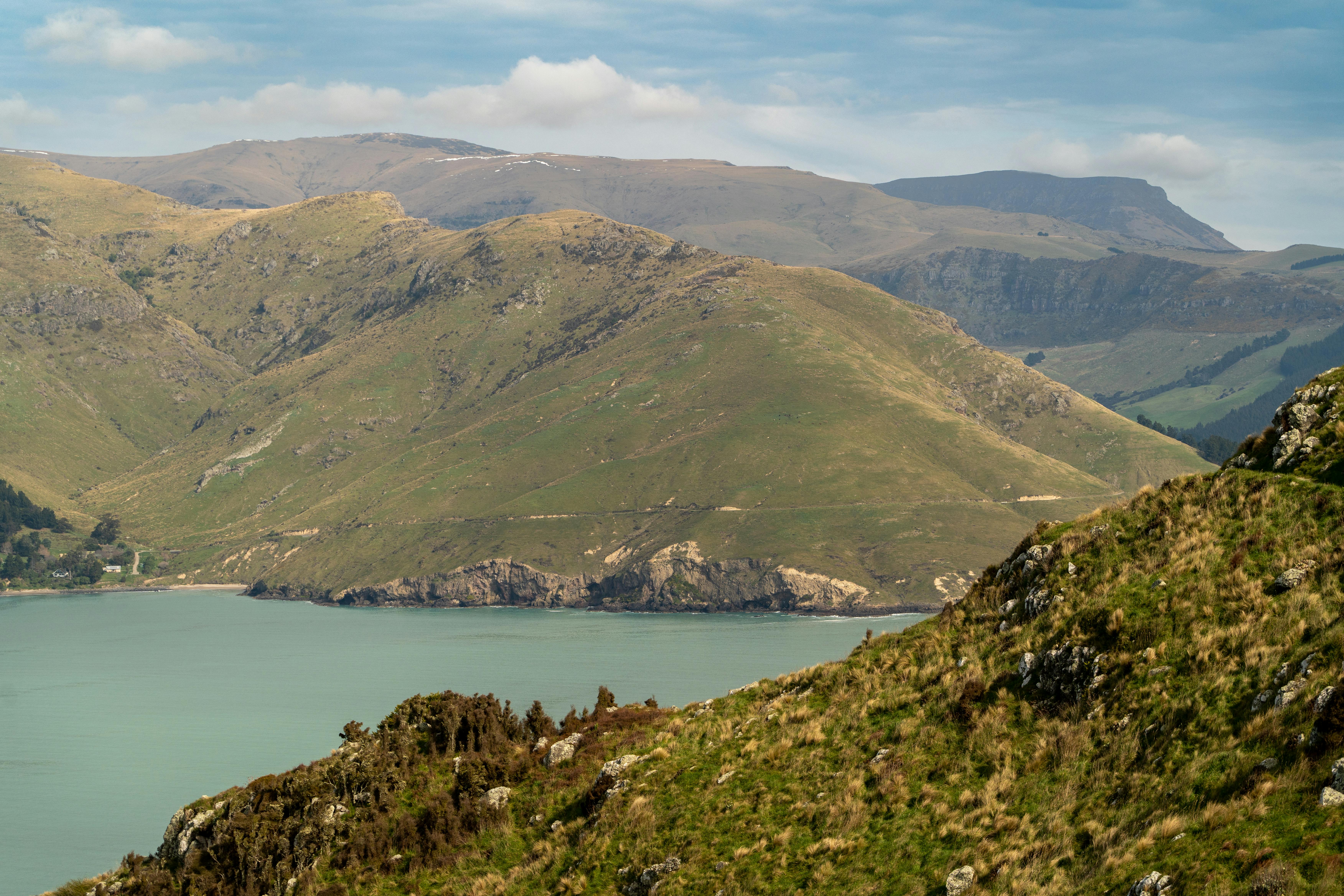 general travel new zealand — Photo by Donovan Kelly on Pexels