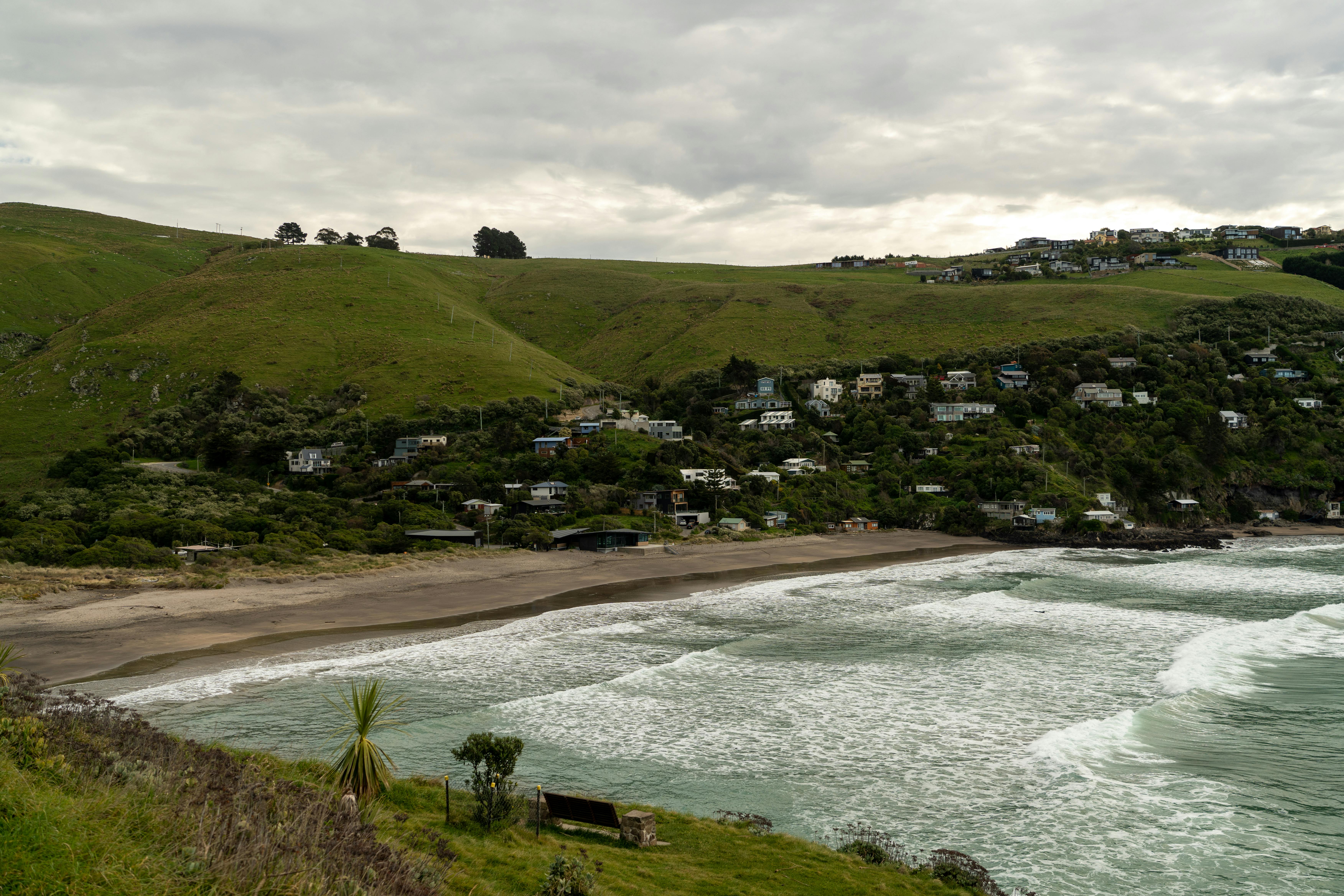 general travel new zealand ltd — Photo by Donovan Kelly on Pexels