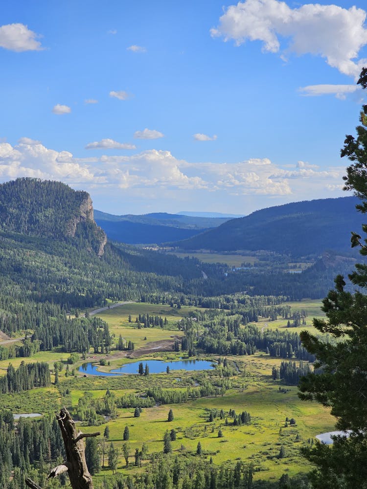 Cimarrona Campground, San Juan National Forest, Colorado, USA