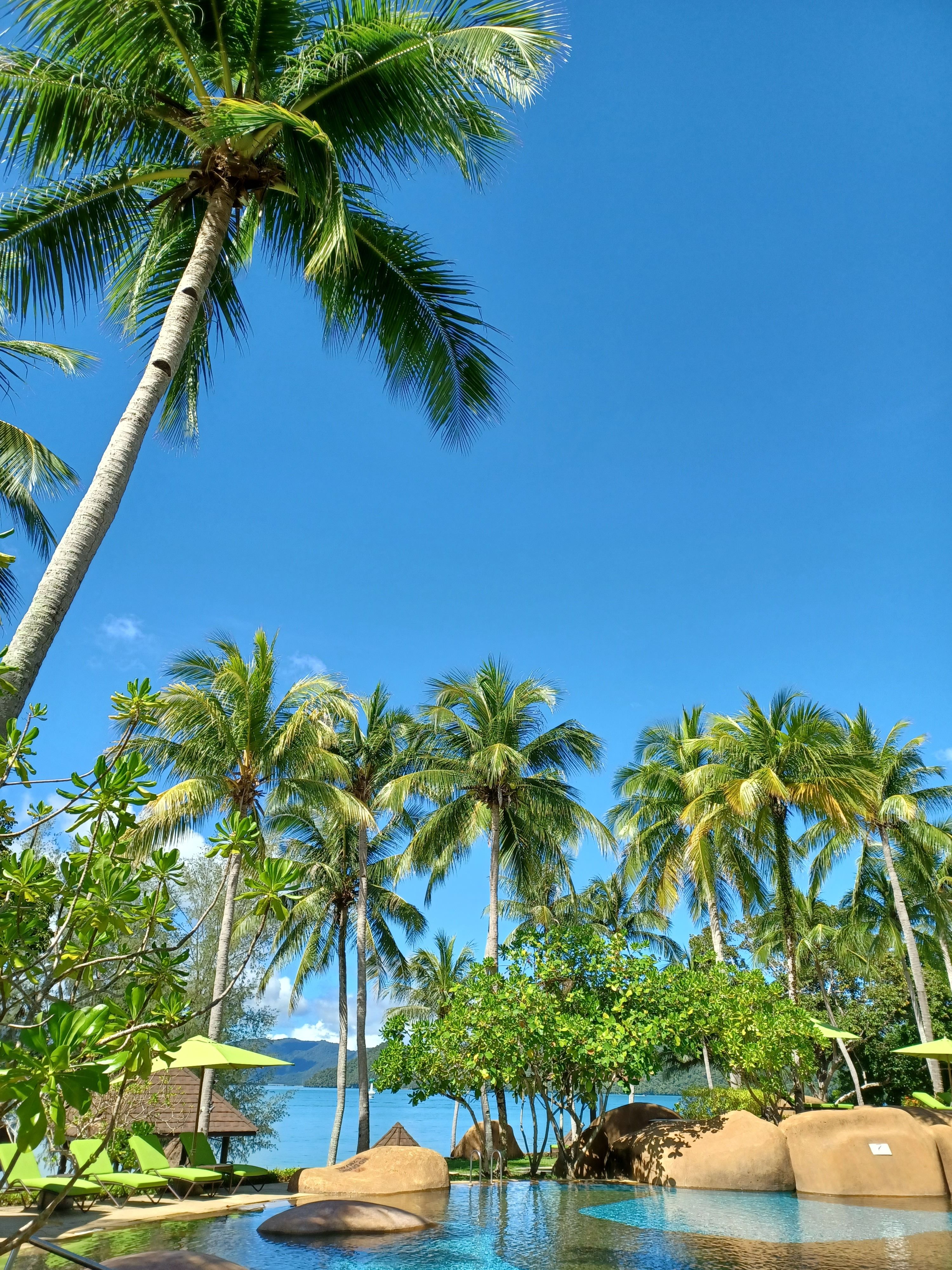Swimming Pool by the Sea Surrounded by Palm Trees · Free Stock Photo