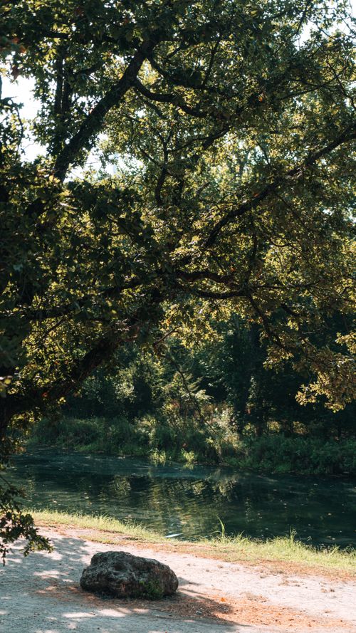 Free Tranquil scene of a forest path by the river with autumn light filtering through trees. Stock Photo