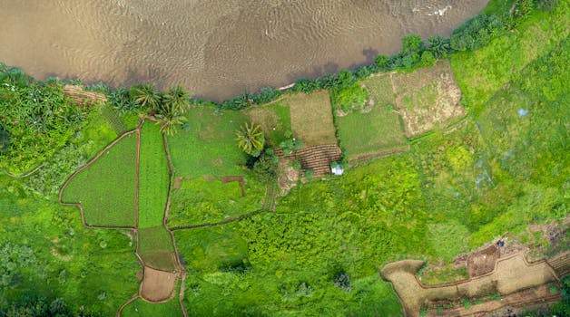 印度尼西亚西爪哇省空中拍摄的绿色稻田和河流充满活力