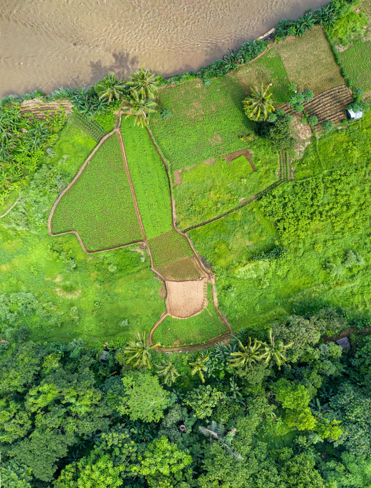 Setting Up a Dog Walking Field on a Farm: A UK Diversification Guide