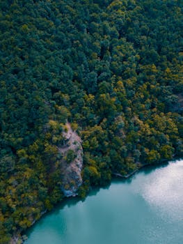 Serene aerial shot capturing a vast forest next to a peaceful lake on a sunny day.