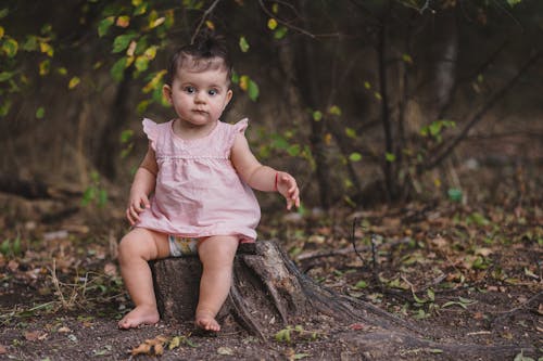 Portrait of a Baby Girl Sitting on a Tree Stump 