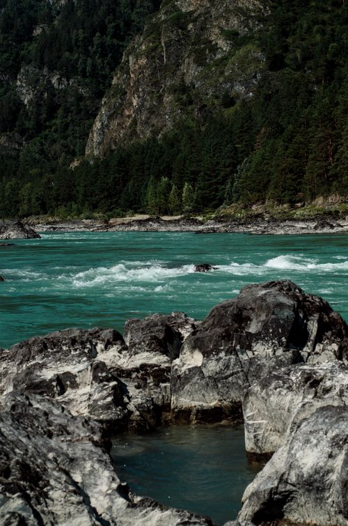 Free Captivating view of turquoise river flowing through rocky mountain terrain surrounded by dense forest. Stock Photo