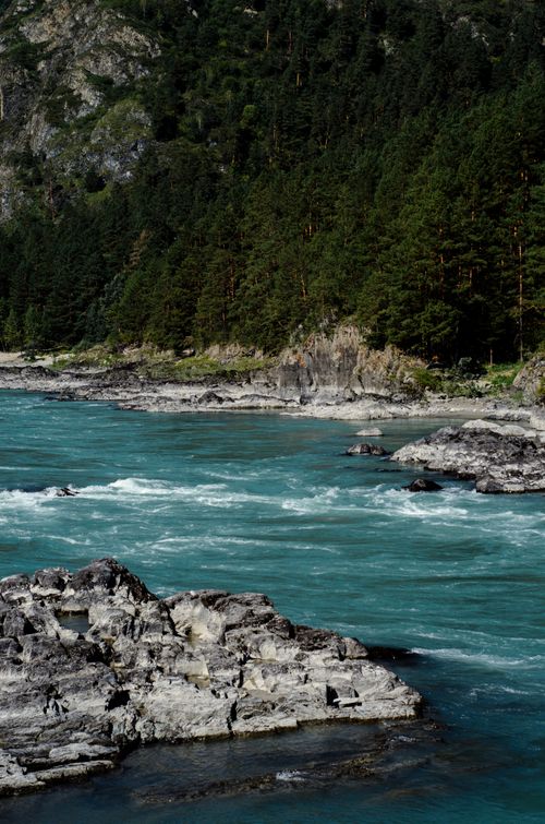 Free Breathtaking view of a turquoise river flowing through a coniferous forest with rocky shores. Stock Photo