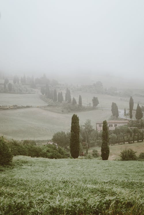 View of a Foggy Countryside Landscape 
