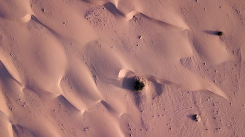 Photo of Sand in the Desert