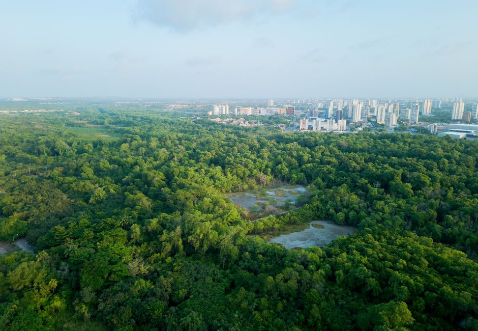 ESG na B3: Desempenho e Desafios das Maiores Empresas Brasileiras