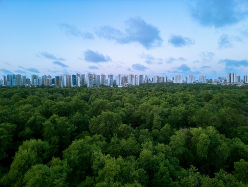 Innovative Technology for Sustainability