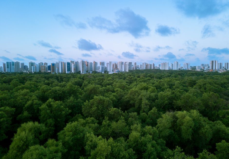 Sustentabilidade Corporativa: Gigantes Brasileiras Lideram o Jogo ESG