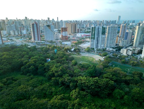 Cidade próximo ao parque florestal