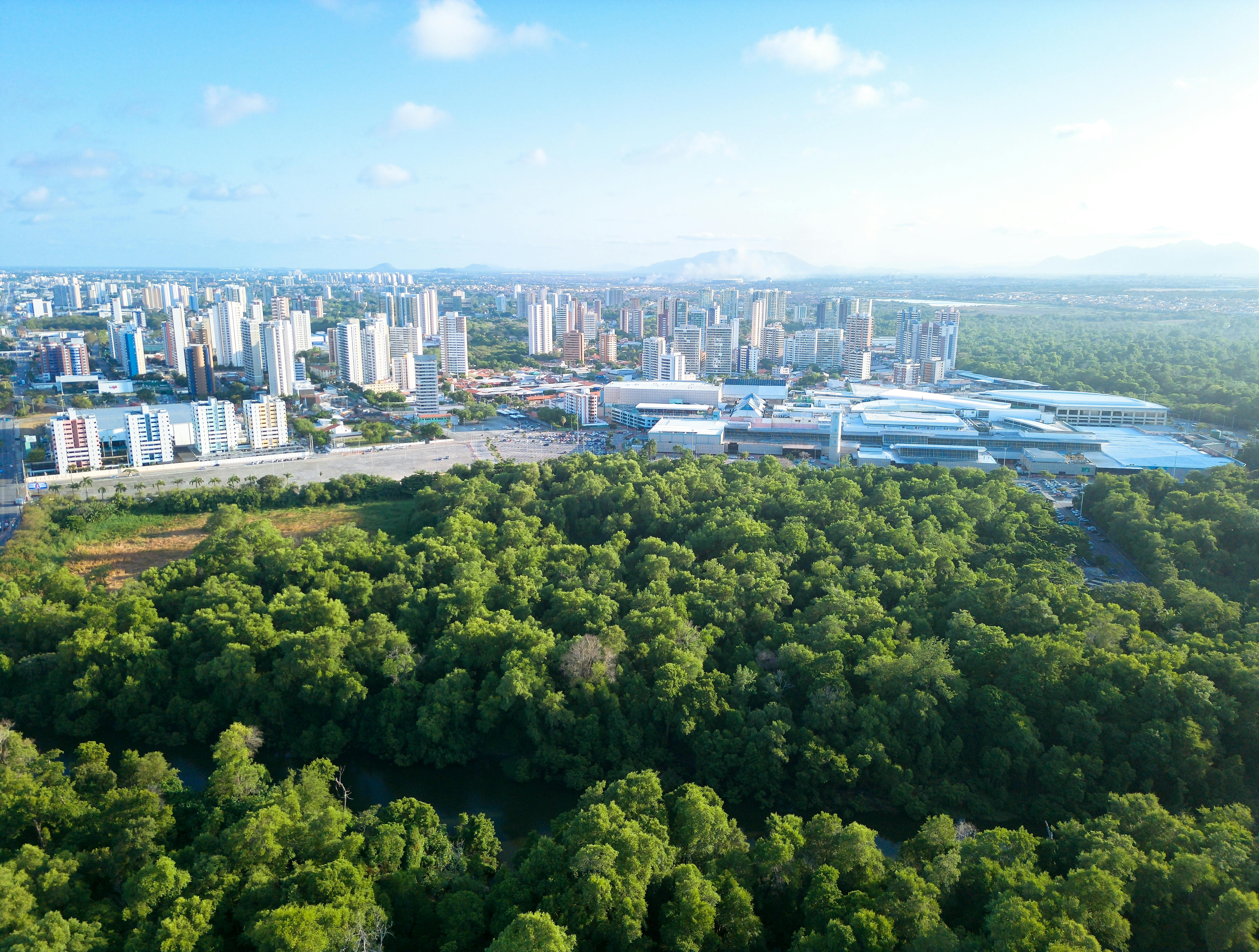 Guida alla Sostenibilità nelle Città: Pratiche e Idee