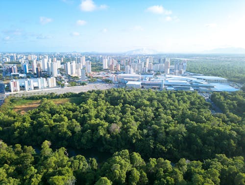 Vista da cidade próximo ao parque florestal