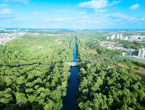 Rio dividindo um parque florestal perto da cidade