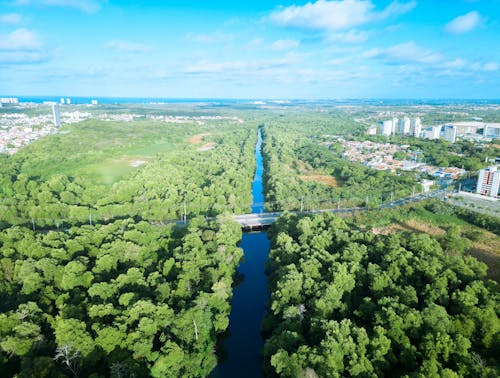 Kostenloses Stock Foto zu ambiente, architektur, baum