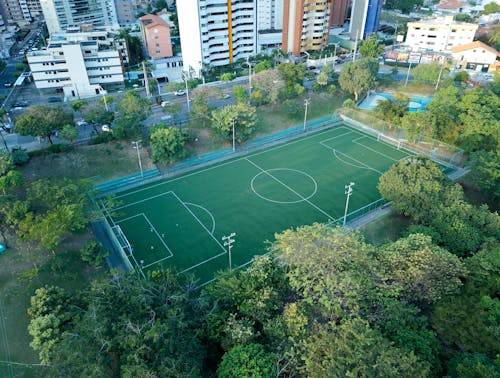 Campo de futebol entre as árvores 