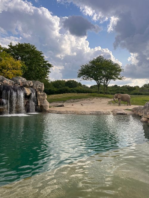 Free A peaceful scene of an African elephant by a scenic waterfall in a lush savanna landscape. Stock Photo