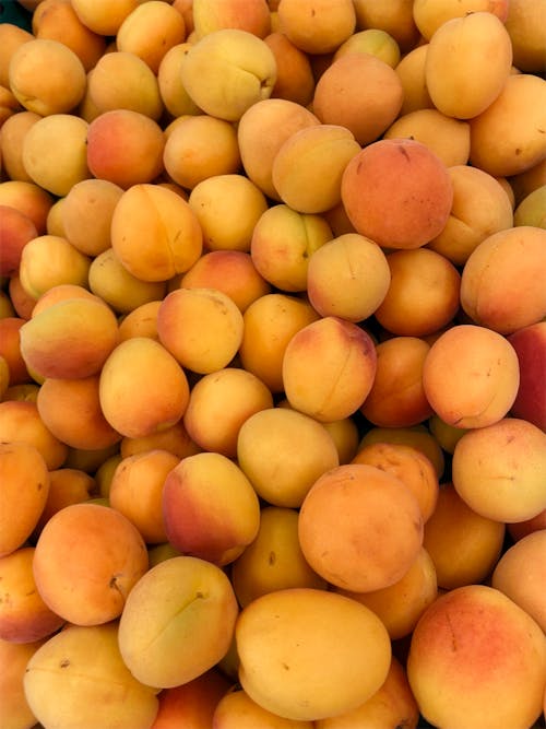 Close up of Apricots