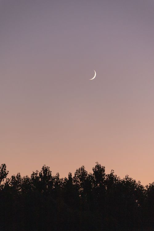 Free A serene view of a crescent moon above silhouetted treetops during twilight, capturing nature's tranquility. Stock Photo