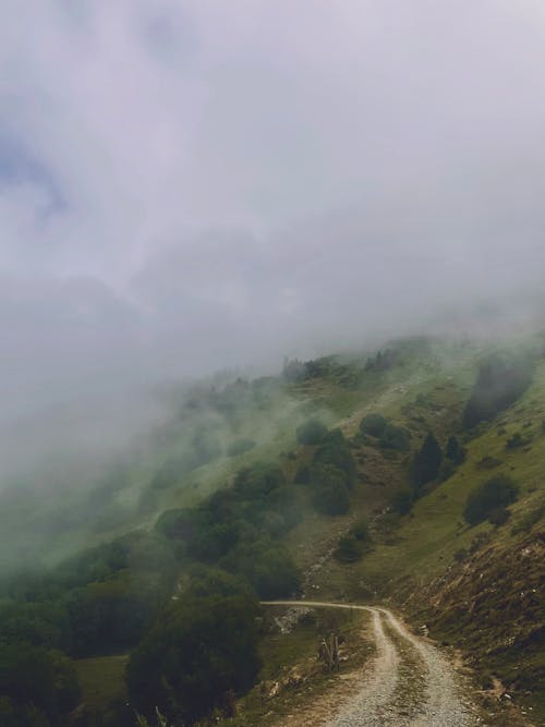 Základová fotografie zdarma na téma kopec, mlha, mraky
