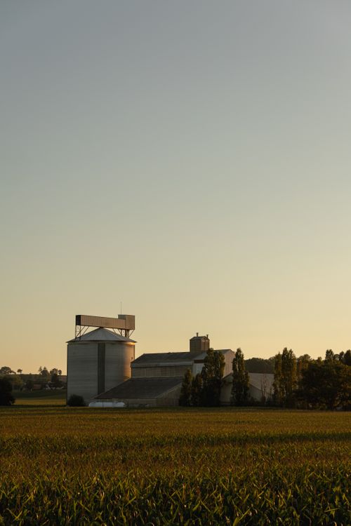 Free Tranquil countryside farm scene with silos and fields at sunset. Stock Photo