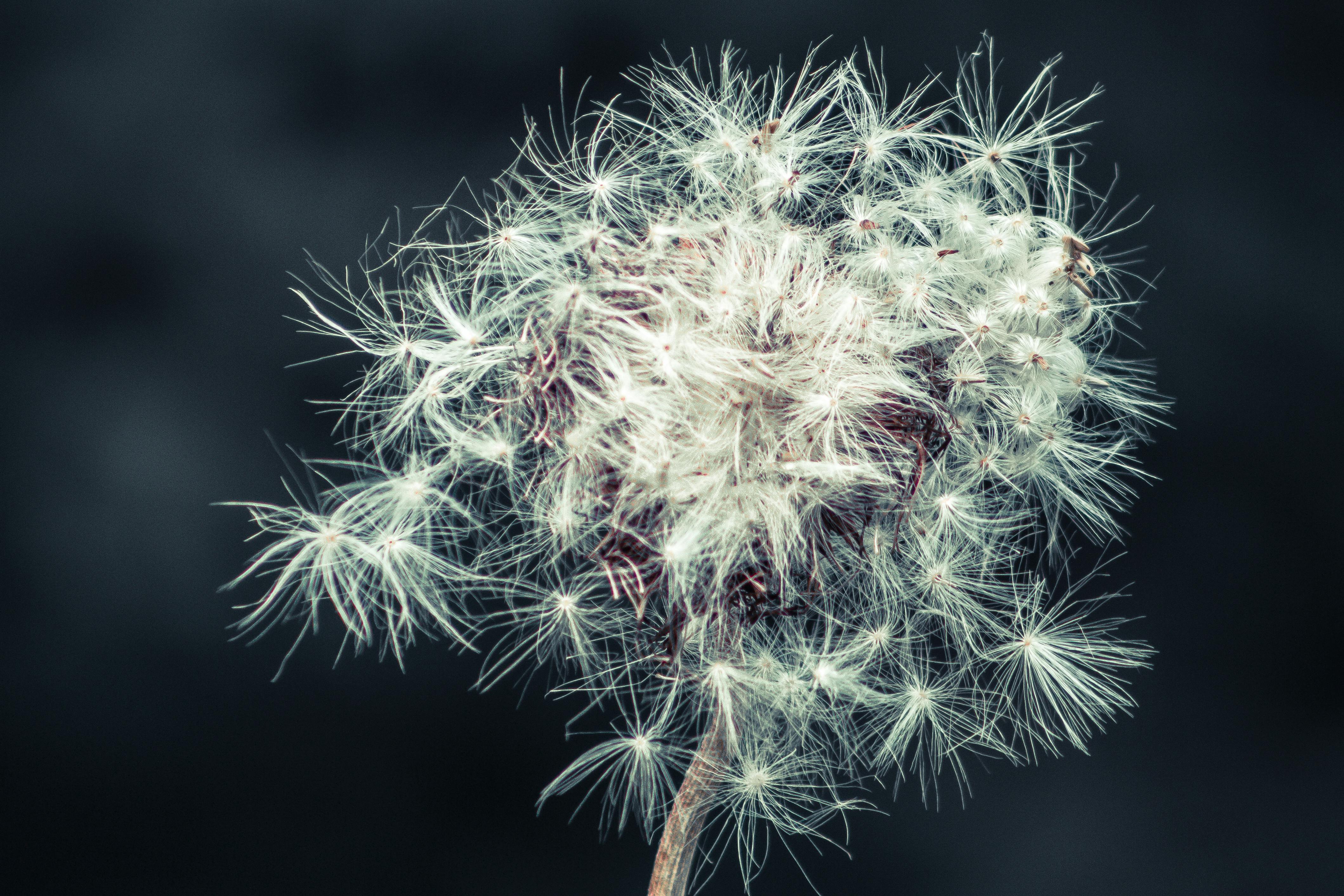Imagens Imagens De Alta Definicao Vetores Fotos De Arquivo E Psd Gratis