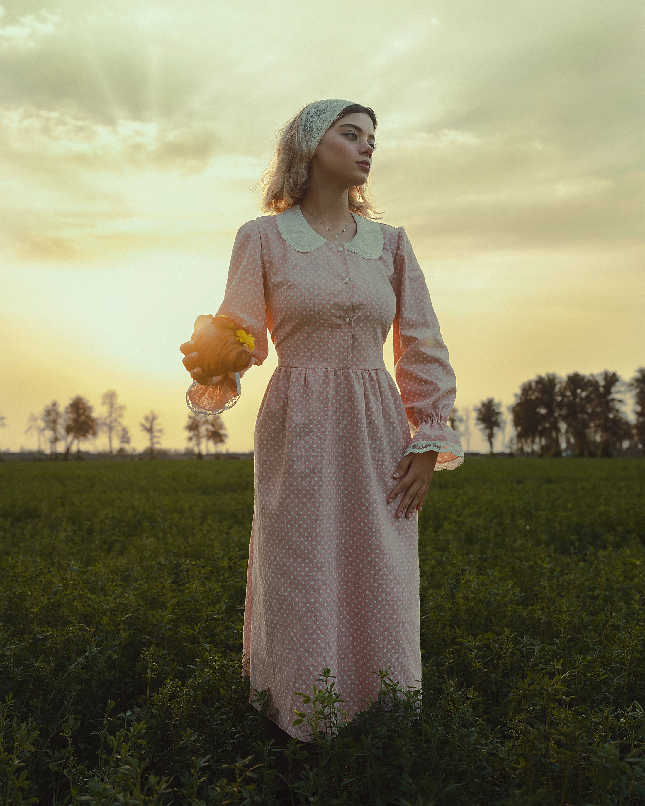 Woman in Pink Sundress on Field at Sunset · Free Stock Photo