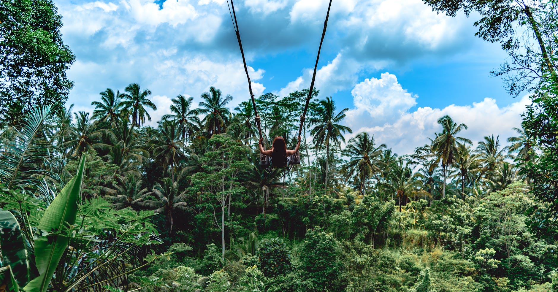 Tropical Rainforest, One of Earth's Large Biome - Taman Safari Bali
