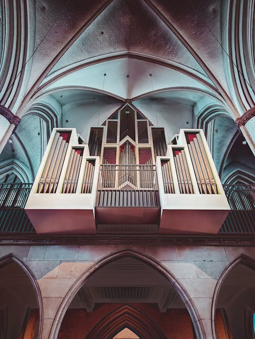 Kostnadsfri bild av gotisk arkitektur, interiör, katedral