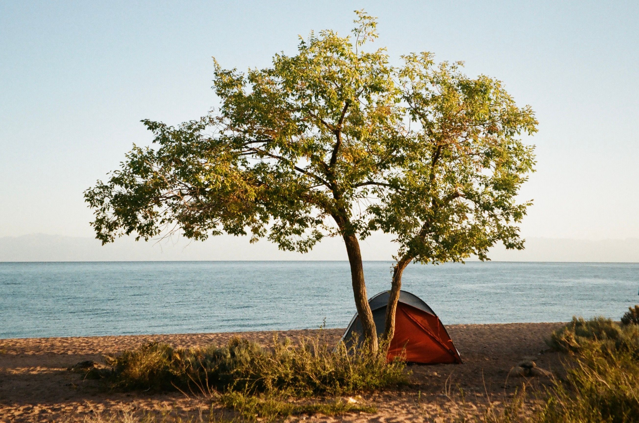Hochwertiges Campingzelt in der Natur